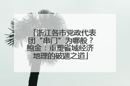 浙江各市党政代表团“串门”为哪般？鲍金：重塑省域经济地理的破题之道
