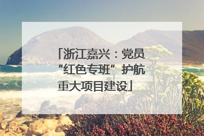 浙江嘉兴：党员“红色专班”护航重大项目建设