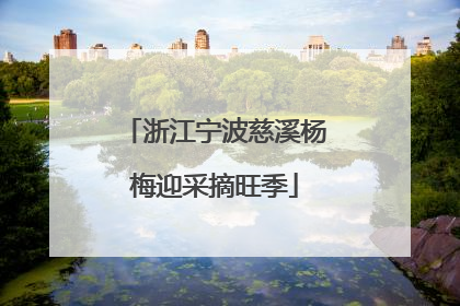 浙江宁波慈溪杨梅迎采摘旺季
