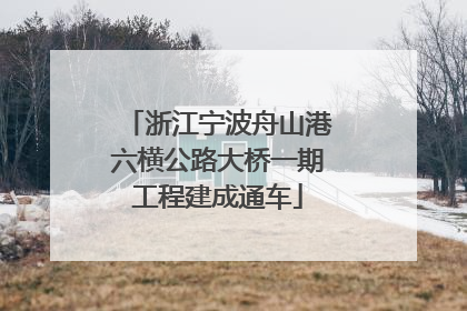 浙江宁波舟山港六横公路大桥一期工程建成通车