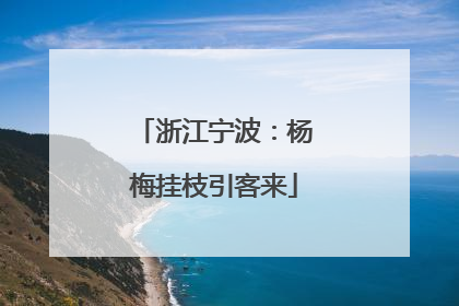 浙江宁波：杨梅挂枝引客来