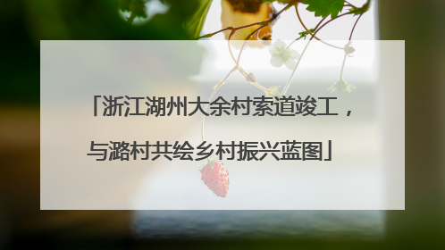 浙江湖州大余村索道竣工，与潞村共绘乡村振兴蓝图