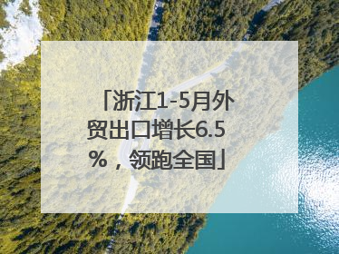 浙江1-5月外贸出口增长6.5%，领跑全国