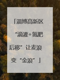 淄博高新区“滴灌+氮肥后移”让麦浪变“金浪”