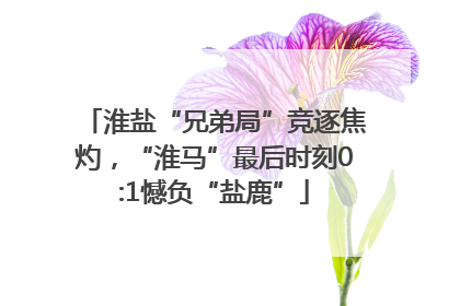 淮盐“兄弟局”竞逐焦灼，“淮马”最后时刻0:1憾负“盐鹿”