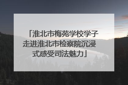 淮北市梅苑学校学子走进淮北市检察院沉浸式感受司法魅力