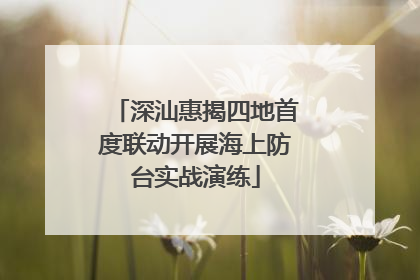 深汕惠揭四地首度联动开展海上防台实战演练