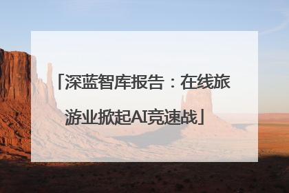 深蓝智库报告：在线旅游业掀起AI竞速战