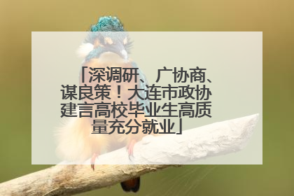 深调研、广协商、谋良策！大连市政协建言高校毕业生高质量充分就业
