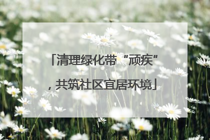 清理绿化带“顽疾”，共筑社区宜居环境