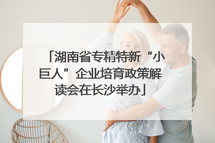 湖南省专精特新“小巨人”企业培育政策解读会在长沙举办