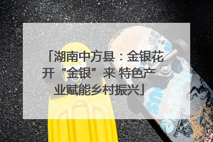 湖南中方县：金银花开“金银”来 特色产业赋能乡村振兴