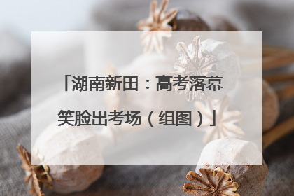 湖南新田：高考落幕 笑脸出考场（组图）