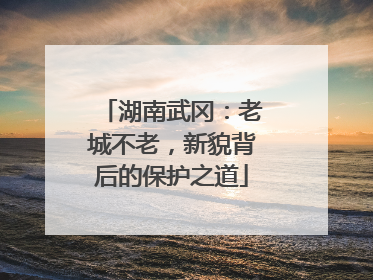 湖南武冈：老城不老，新貌背后的保护之道