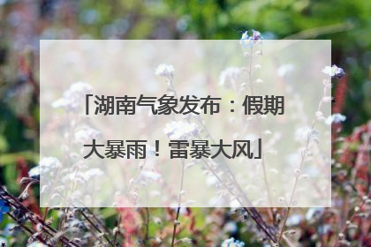 湖南气象发布：假期大暴雨！雷暴大风