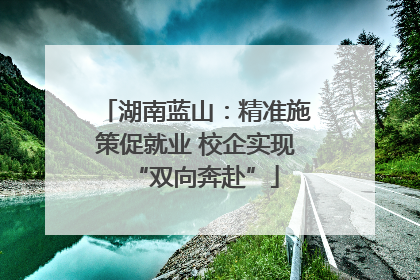 湖南蓝山：精准施策促就业 校企实现“双向奔赴”