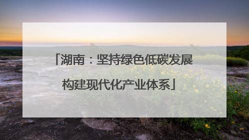湖南：坚持绿色低碳发展 构建现代化产业体系