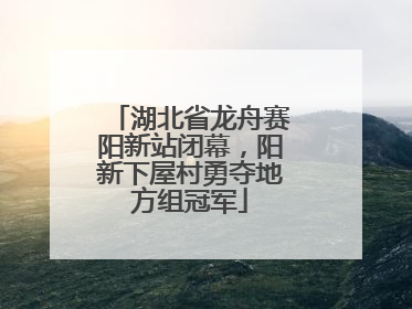 湖北省龙舟赛阳新站闭幕，阳新下屋村勇夺地方组冠军