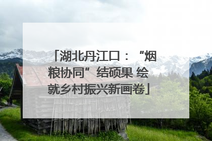 湖北丹江口：“烟粮协同”结硕果 绘就乡村振兴新画卷