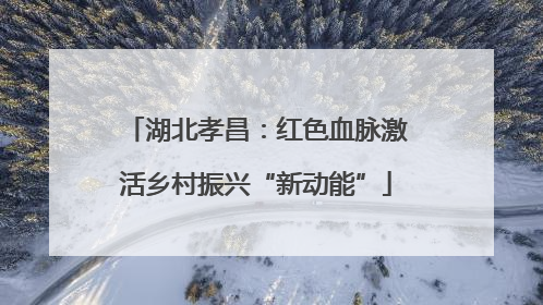 湖北孝昌：红色血脉激活乡村振兴“新动能”