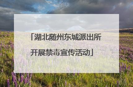 湖北随州东城派出所开展禁毒宣传活动