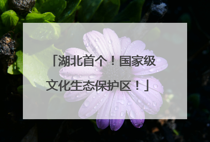 湖北首个！国家级文化生态保护区！