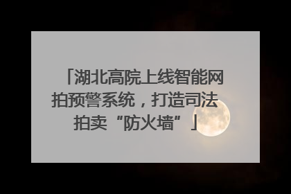 湖北高院上线智能网拍预警系统，打造司法拍卖“防火墙”
