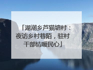湖潮乡芦猫塘村：夜访乡村巷陌，驻村干部情暖民心