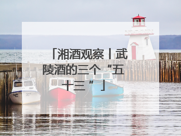 湘酒观察丨武陵酒的三个“五十三 ”