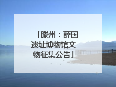 滕州：薛国遗址博物馆文物征集公告
