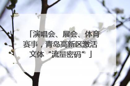 演唱会、展会、体育赛事，青岛高新区激活文体“流量密码”