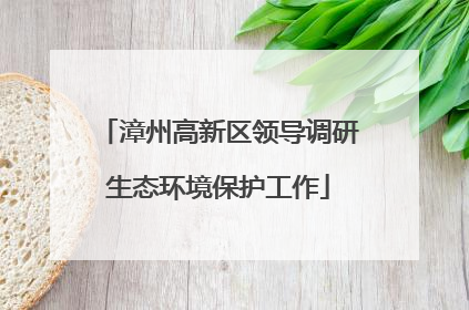 漳州高新区领导调研生态环境保护工作