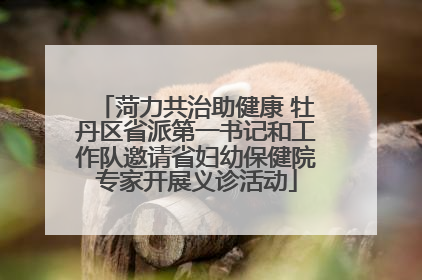 菏力共治助健康 牡丹区省派第一书记和工作队邀请省妇幼保健院专家开展义诊活动