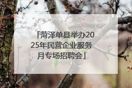 菏泽单县举办2025年民营企业服务月专场招聘会