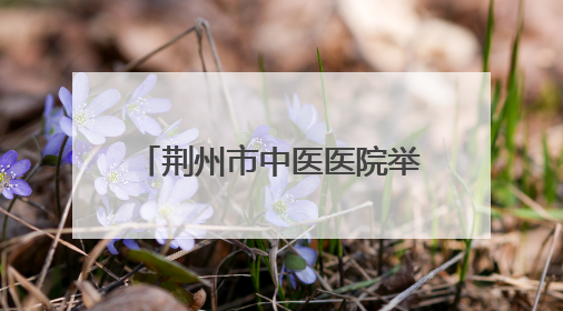 荆州市中医医院举办中医药科普文化“荆楚行”活动