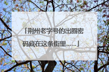 荆州老字号的出圈密码藏在这条街里……