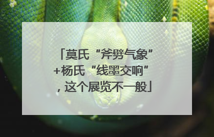 莫氏“斧劈气象”+杨氏“线墨交响”，这个展览不一般