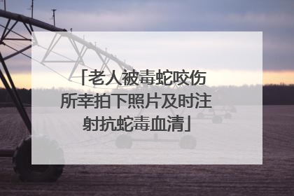 老人被毒蛇咬伤 所幸拍下照片及时注射抗蛇毒血清
