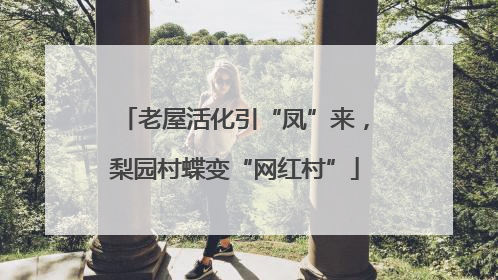 老屋活化引“凤”来，梨园村蝶变“网红村”