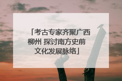 考古专家齐聚广西柳州 探讨南方史前文化发展脉络