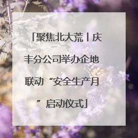 聚焦北大荒丨庆丰分公司举办企地联动“安全生产月”启动仪式