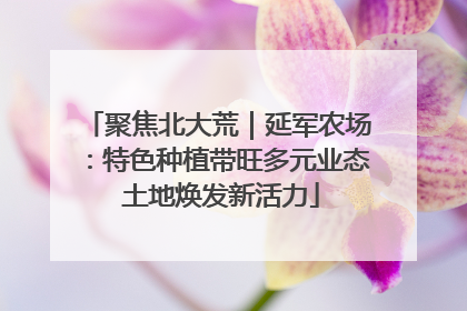 聚焦北大荒｜延军农场：特色种植带旺多元业态 土地焕发新活力