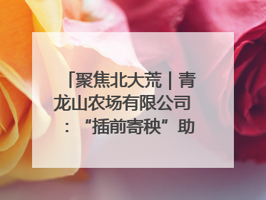 聚焦北大荒｜青龙山农场有限公司：“插前寄秧”助力农业节本增效