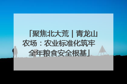 聚焦北大荒｜青龙山农场：农业标准化筑牢全年粮食安全根基
