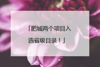 肥城两个项目入选省级目录！