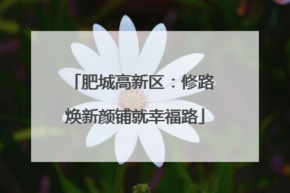 肥城高新区：修路焕新颜铺就幸福路