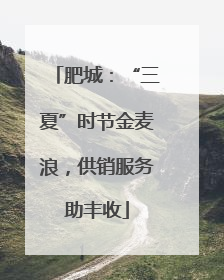 肥城：“三夏”时节金麦浪，供销服务助丰收