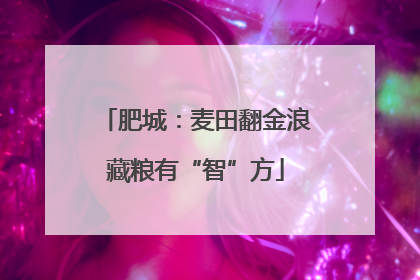 肥城：麦田翻金浪藏粮有“智”方