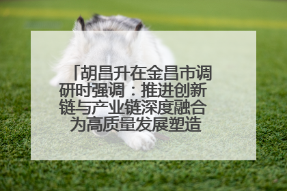 胡昌升在金昌市调研时强调：推进创新链与产业链深度融合 为高质量发展塑造新动能新优势