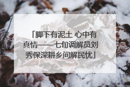 脚下有泥土 心中有真情——七旬调解员刘秀保深耕乡间解民忧